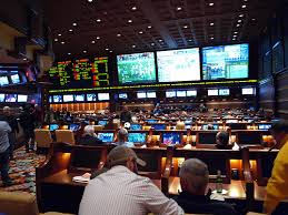 apostas trader